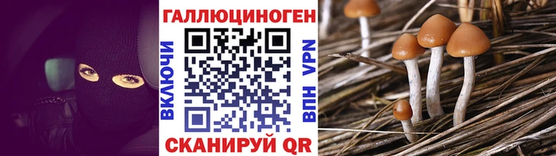 Галлюциногенные грибы мицелий  Губкинский 