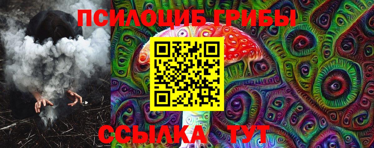 Губкинский  купить наркоту  Псилоцибиновые грибы прущие грибы  Вход с VPN  Галлюциногенные грибы Psilocybine cubensis 